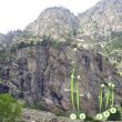 Sector Embotelladora - 