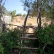 Escalera de acceso - Estos peldaños hechos con ramas facilitan y señalizan el acceso al camino de aproximación a la cala Magraner. Tras cruzarla, sólo hay que seguir el camino y las flechas rojas hasta llegar a la cala.