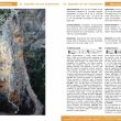 Spermaica - Nueva va en las catedrales
