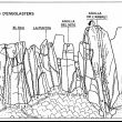 Croquis - 