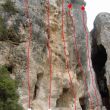 Sector Solita - 