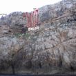 Roquero solitario - 