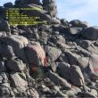 PLACA DE TEJO ZONA IZQUIERDA 2 - 