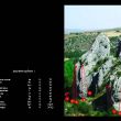 SECTOR CAÑON 1 - 