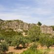 Cuchillo - 