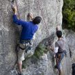 Roman a por La Osa Golosa - 
