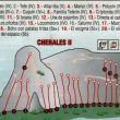 Cherales II - El croquis es bastante bsico, pero con un poco de imaginacin...