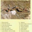 Sectores - 