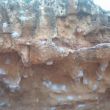Les Rotes - 