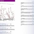 sector cova - 