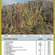 Sector central - 