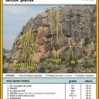 Sector punta - 