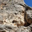 Covetes 2 - 