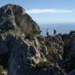 cresta - 
