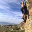 bones vistes - 