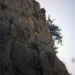 Mondo Zone - 
