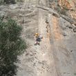 Elendigliches - 