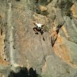 Optas - 