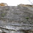 Pontón de la Oliva - 